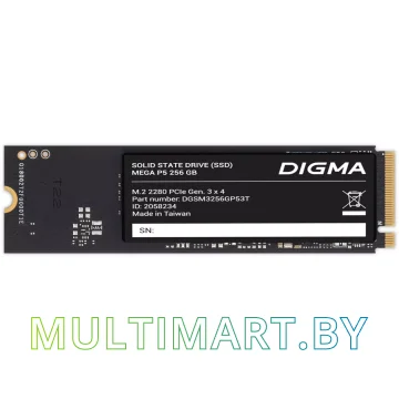 SSD диск Digma Mega P5 256GB (DGSM3256GP53T)